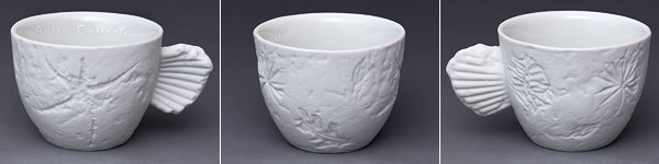fossile2
