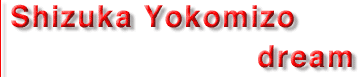 Yokomizo